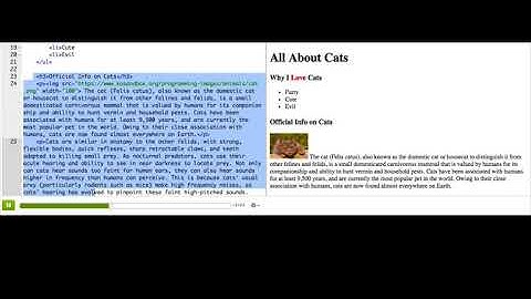 19 CSS grouping elements   Intro to HTML CSS  Making webpages   Computer Programming   Khan Academy