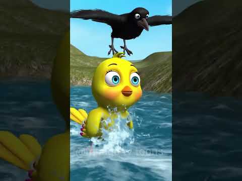चिड़िया और कौआ #shorts #shortvideo #trending #virel #parrot