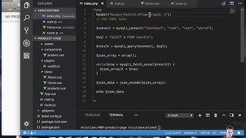 VueJS & DB | Level 4-1.5: Storing and presenting data + CORS