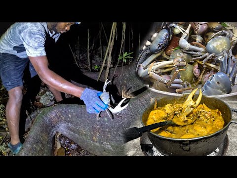 Giant Jamaican Mud Crabs CATCH & COOK 