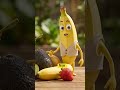 बाल सफेद होने से बचे, #healthyliving