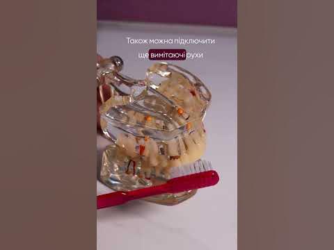 Правильна техніка чищення зубів мануальної щіткою #dentist #стоматолог ...
