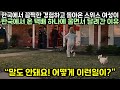 한국에서 끔찍한 경험하고 돌아온 스위스 여성이 한국에서 온 택배 하나에 울면서 달려간 이유