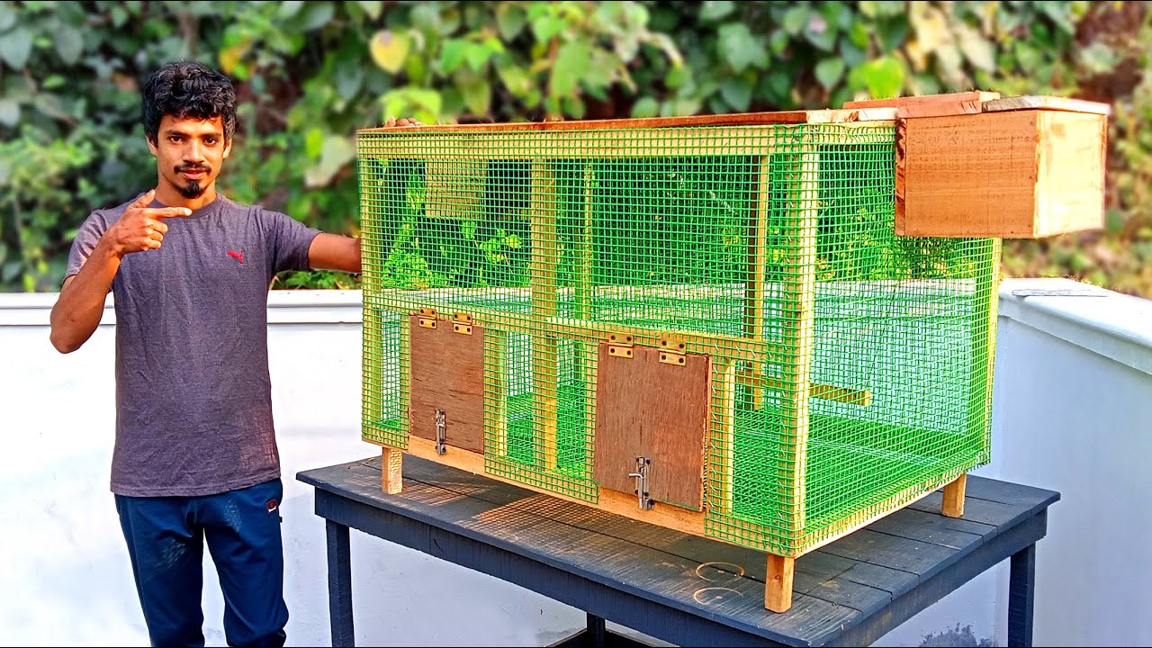 How To Make Birds Cage With Breeding Box | Easy Way To Make Birds Cage At  Home - Youtube