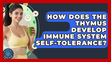 How Does The Thymus Develop Immune System Self-tolerance? - All About the Immune System