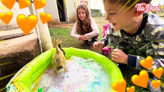 O BANHO DOS MARREQUINHOS BEBÊS NA PISCINA