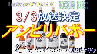 【ソロ】YAMAHA XSR700 Insta360#212【緊急告知】「アンビリバボー」3月3日 20:00～ 幼馴染がＴＶ番組に登場します 愛櫻 杉浦味淋株式会社