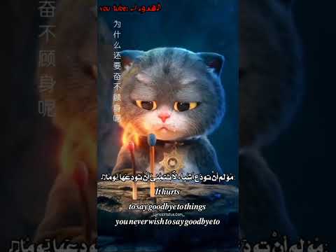 حالات واتس اب هادئة مقاطع انستاغرام قصيرة اغنية هندية حزينة خواطر وعبارات راقية تصميمي بدون حقوق