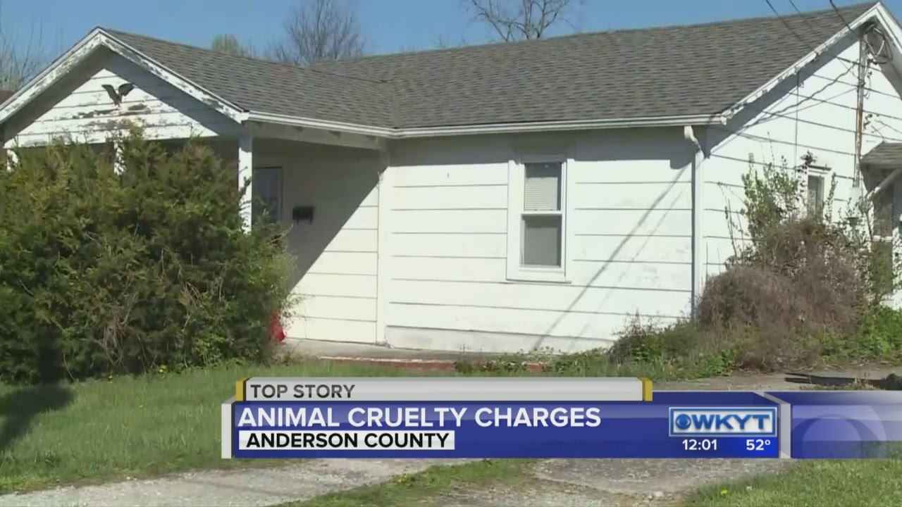 Man facing animal cruelty charges after dog found dead in backyard of ...
