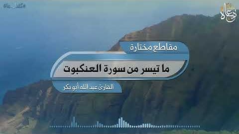 ما تيسر من سورة العنكبوت /القارئ عبد الله أبو بكر