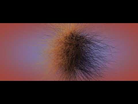 Cinema 4D hair animation | Motion Capture