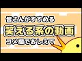 おすすめの笑える動画コメント欄で教えて