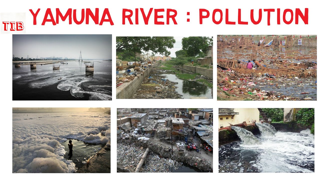 make a presentation on pollution of yamuna river