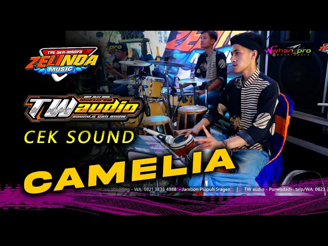 Cek SOUND Pueeeenak....   CAMELIA - ZELINDA music | TW Audio | Whanpro multimedia class=