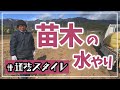 【道法スタイル】苗木に水やり（さくらんぼとイチジク②）