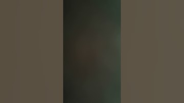 Does a Former Presidency of the Montreal Attorney Bar Confer Ongoing Influence in Major TrialsPart 7