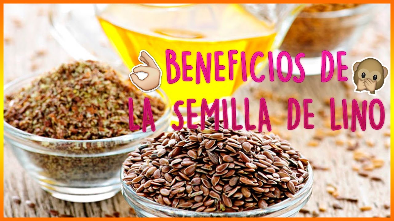 contraindicaciones de consumir semillas de lino