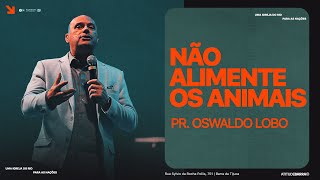 Não Alimente Os Animais Pr. Oswaldo Lobo
