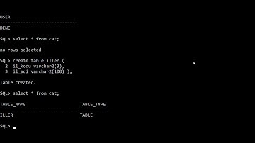 SQL Öğreniyorum : user info, create table, select table, insert table