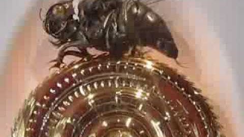 The Strangest Clock You Will Ever See