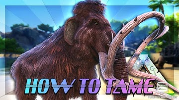 How To Tame a Mammoth - In Ark Survival Evolved