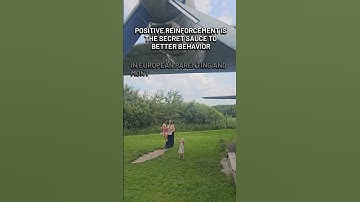 Positive reinforcement is the secret sauce to better behavior. Let me show you how!