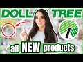 20 Things You Should Be Buying at Dollar Tree in June 2025