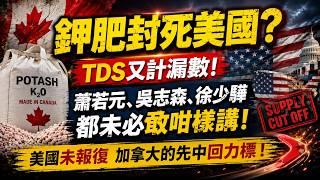 加拿大終極大絕？鉀肥封死美國？TDS又計漏數！蕭若元、吳志森、徐少驊都未必敢咁講！