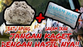 Cara membuat air aquarium tetap jernih.. tanpa kuras..!!