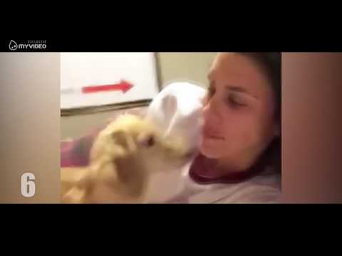 10 ყველაზე იდიოტური შემთხვევა რომლებიც კამერებმა დააფიქსირეს