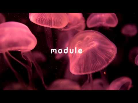 Haux - Caves (Le Malls Remix)