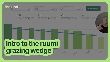 5. Intro to the ruumi grazing wedge