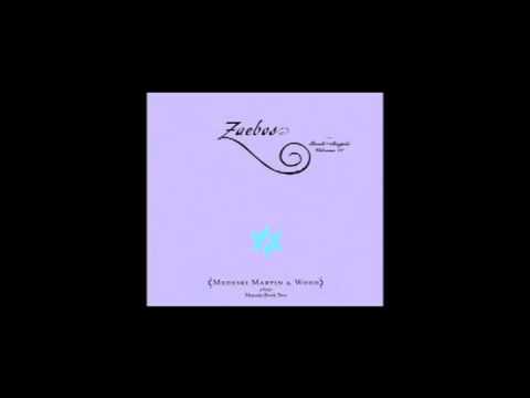Medeski Martin & Wood- Zagzagel