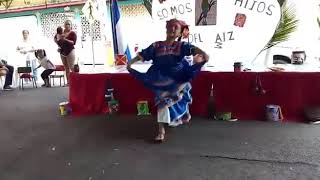 Versión 3 del video