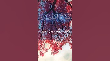 قران كريم/ الواقعة #اكسبلور #القزابري #دويتو