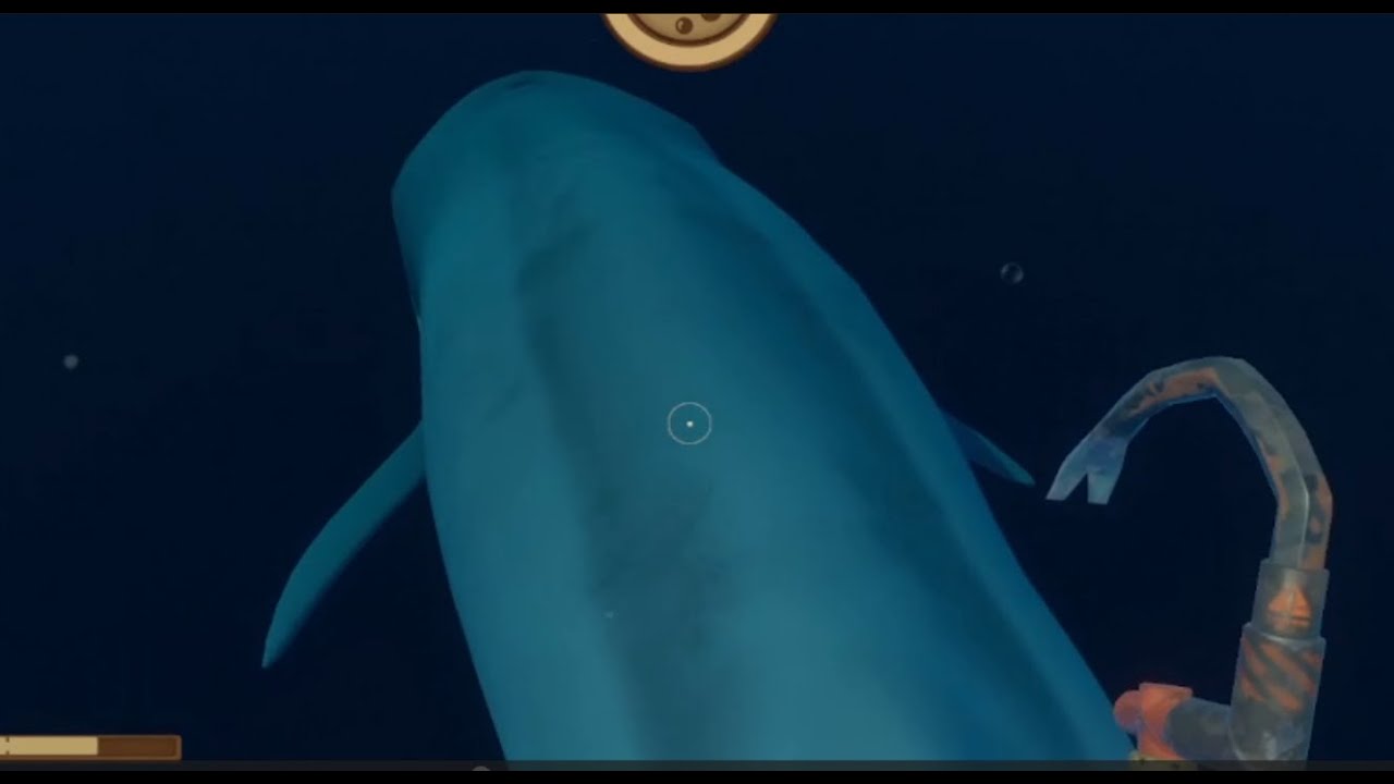 Survival Sunday Raft: Whale of a time