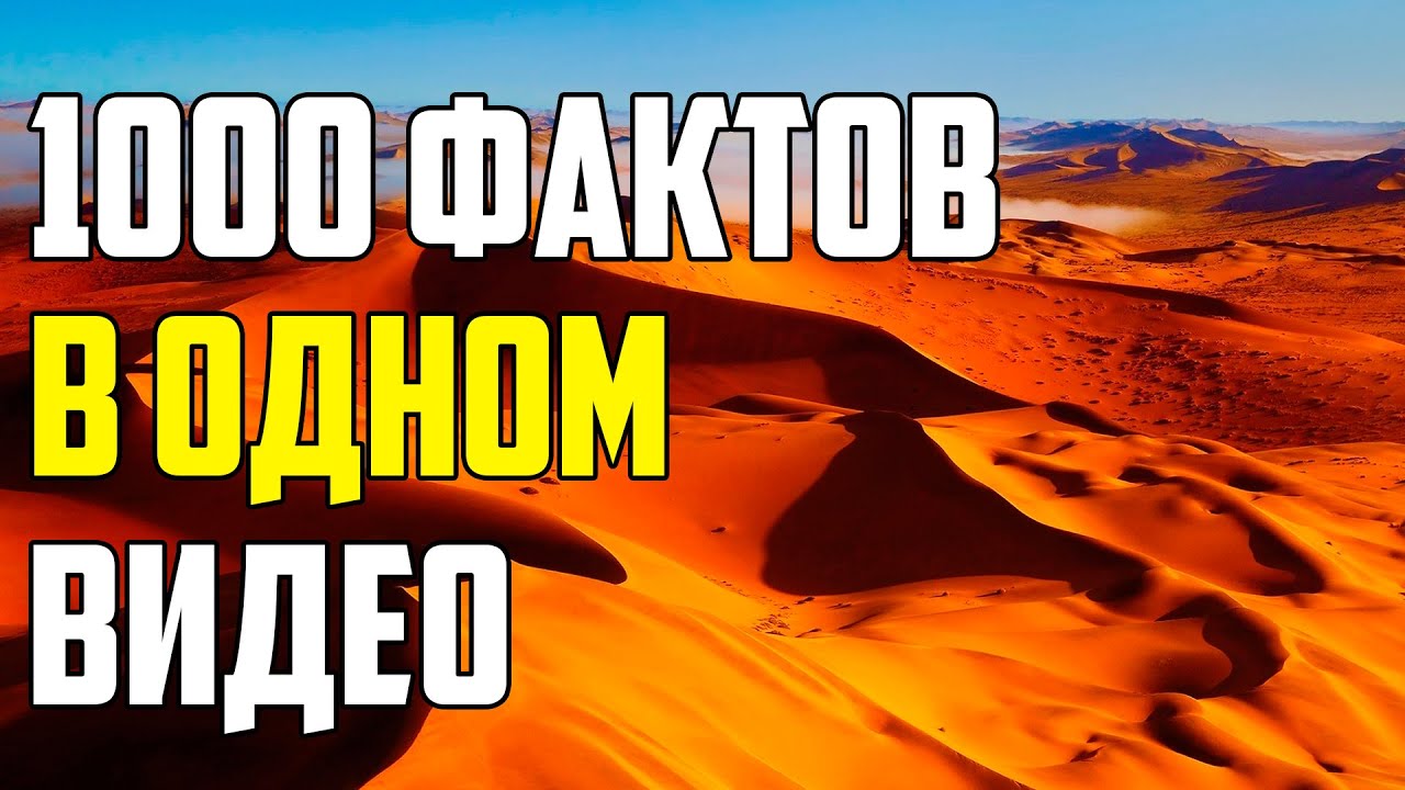 краткие факты