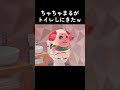 【あつ森】ちゃちゃまるがトイレしにきたww【あつまれどうぶつの森】 #Shorts