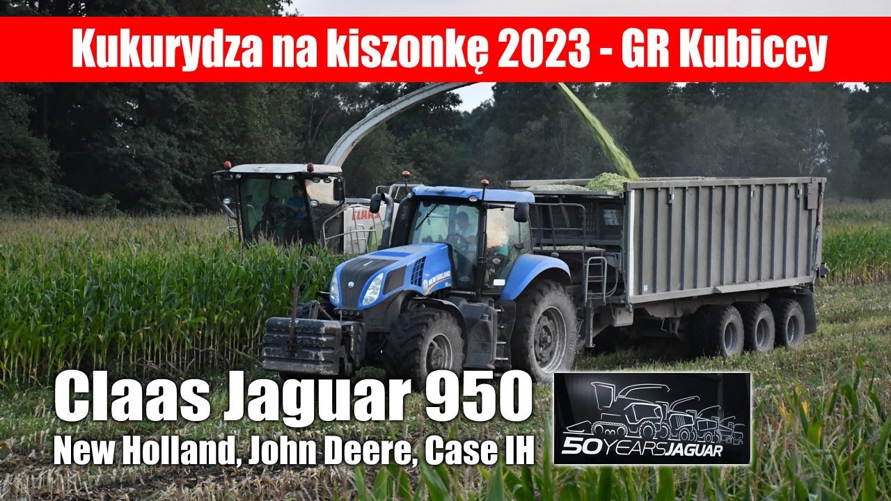 maxresdefault Kukurydza na kiszonkę 2023 w GR Kubiccy z sieczkarnią Claas Jaguar 950