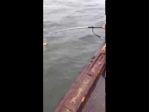 箱崎ふ頭 釣り Youtube