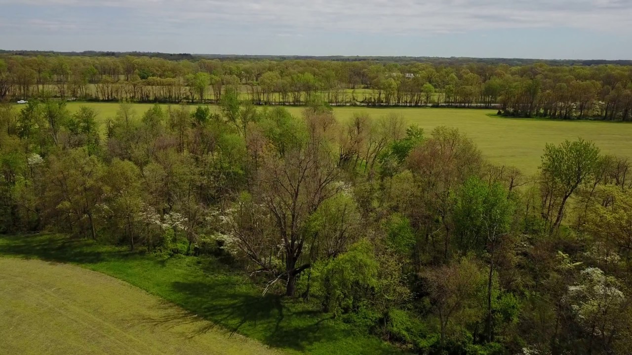 Greene County 75 acres Borders GreeneSullivan Forest YouTube