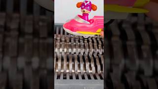 Shredding Paw Patrol