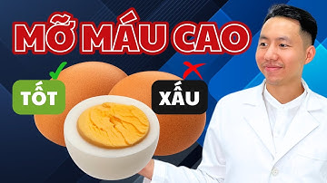 Trứng Gà Là Tốt Hay Xấu Đối Với Người Bị Mỡ Máu Cao | Ds Tùng