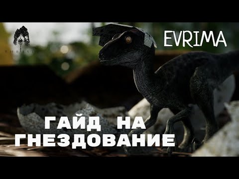 Видео: THE ISLE EVRIMA. ГНЕЗДОВАНИЕ! ПОДРОБНЫЙ ГАЙД!