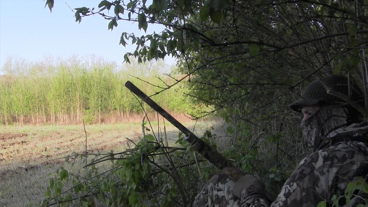 Illinois Turkey Hunting YouTube
