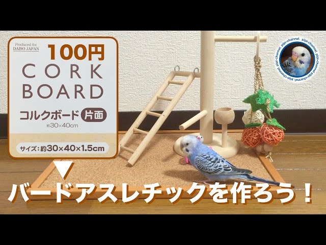 100均コルクボードでバードアスレチックを作ろう！ DIY [#014] - YouTube