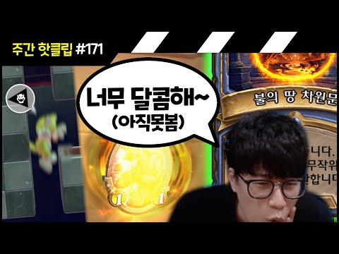 +<strong>고양이도</strong> 나무에서 미끄러진다 [플러리 주간 핫클립]
