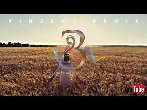 抖音神曲 【 不需要挽留 】 _ VIN3ENT REMIX Ft.396 MU3IC