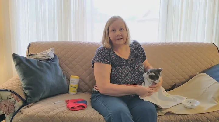 Cats and Kidney Disease: Syringe Feeding