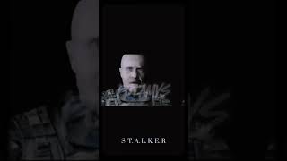 девушки или #STALKER